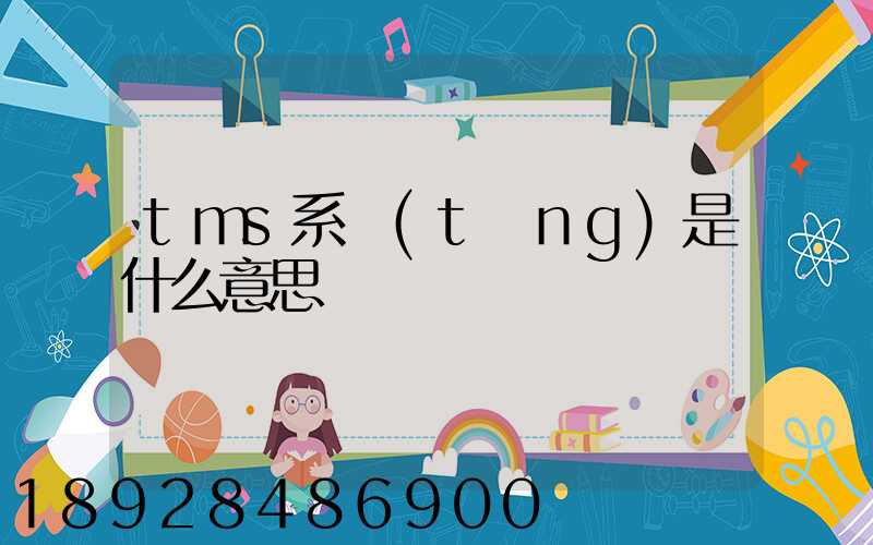tms系統(tǒng)是什么意思