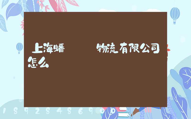 上海蟠龍國際物流有限公司怎么樣