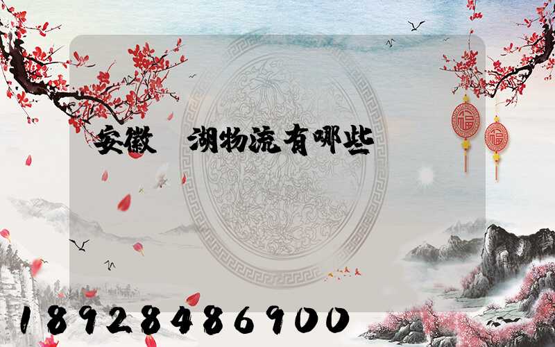 安徽蕪湖物流有哪些
