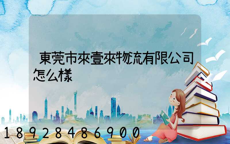東莞市來壹來物流有限公司怎么樣